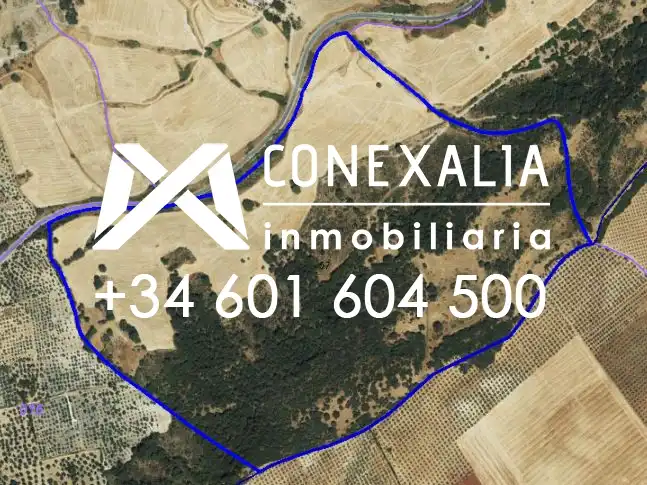 Casa rústica en venda a Olvera, imagen 10