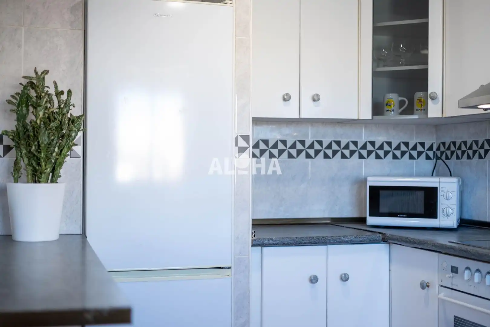 Cuina de Apartament de lloguer en Moncada amb Aire condicionat, Moblat i Balcó