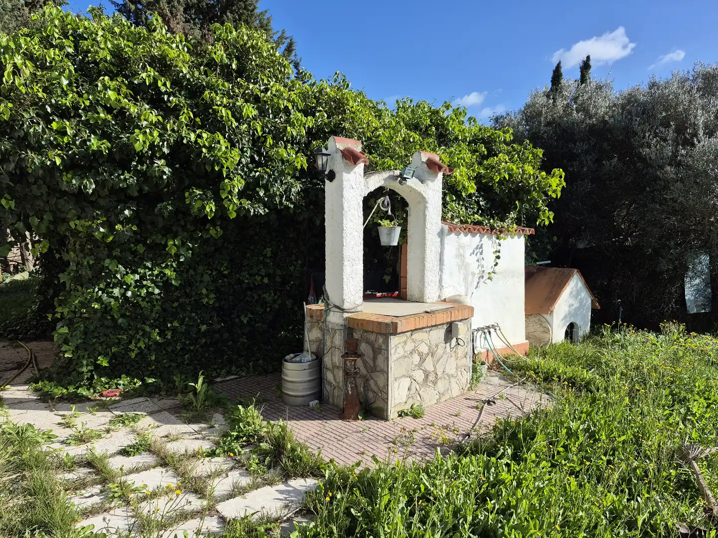 Jardín de Casa o chalet en venta en Conil de la Frontera con Piscina