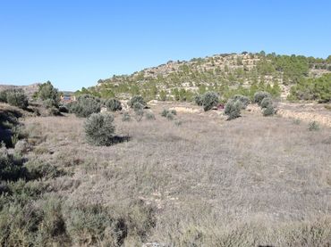 Terreno rustico in vendita a Camino Carretera castelseras
