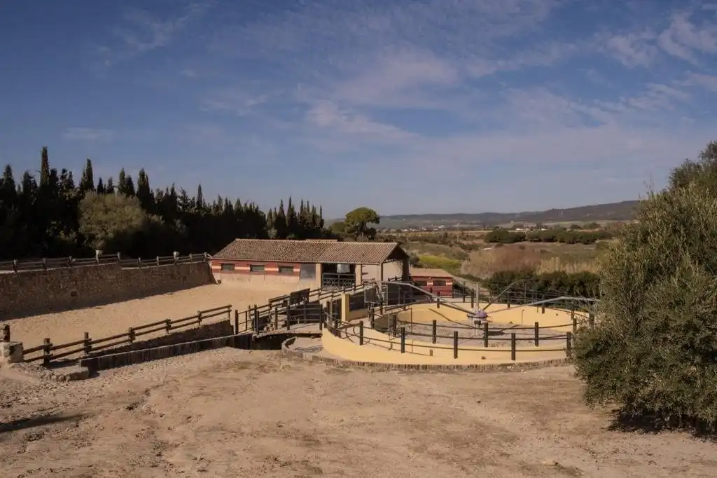 Vista exterior de Finca rústica en venda en Arcos de la Frontera amb Calefacció, Terrassa i Traster