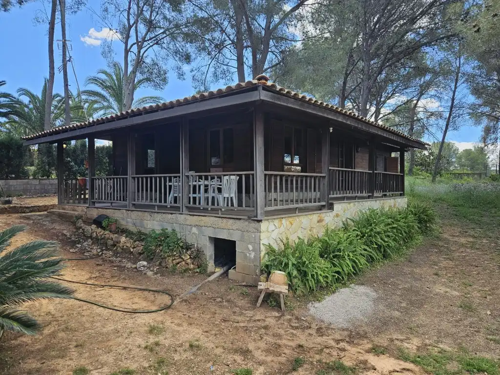 Vista exterior de Casa o chalet en venta en Alberic con Jardín privado, Terraza y Piscina