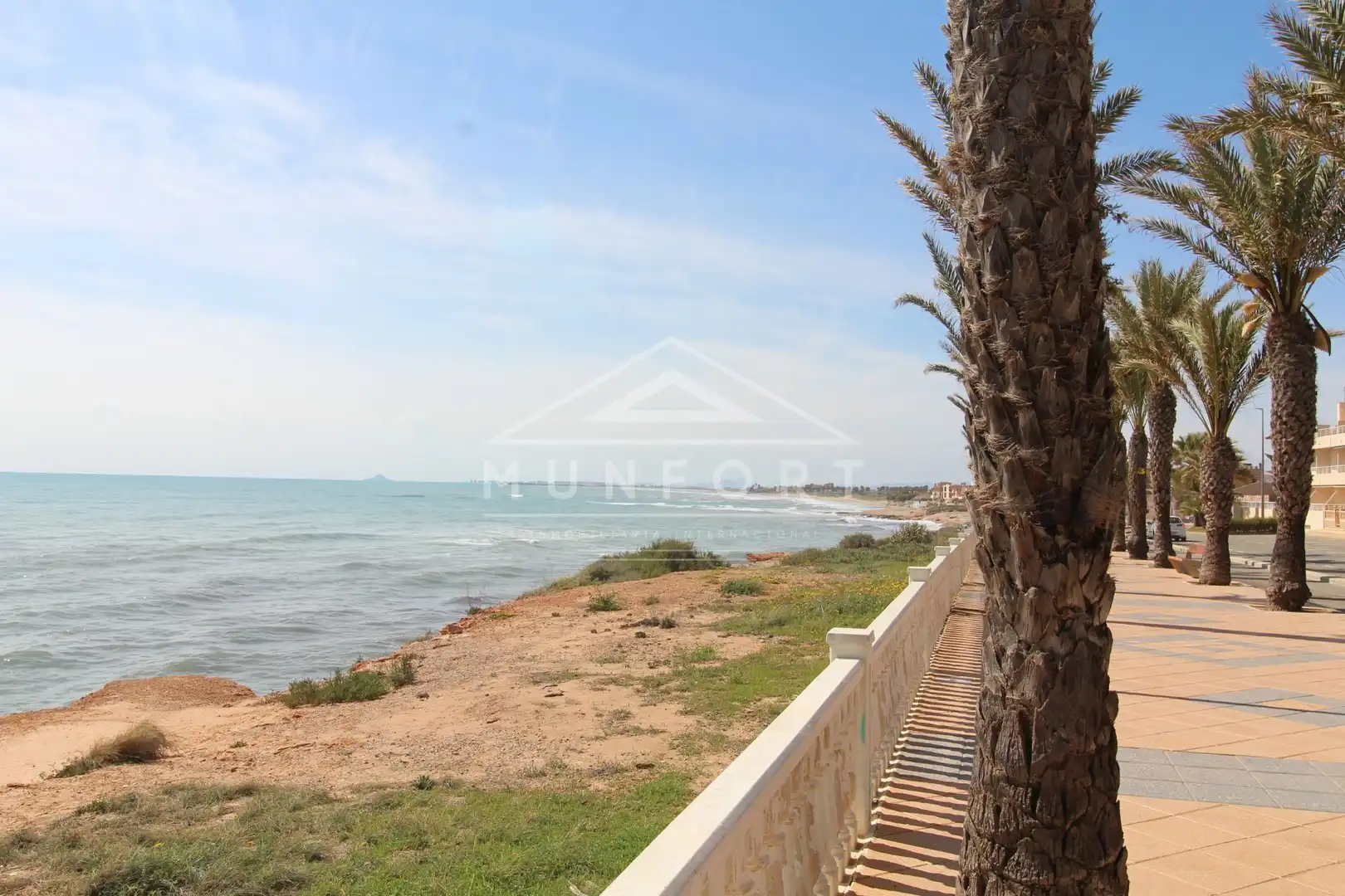 Casa o chalet en venta en Mil Palmeras