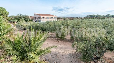 Foto 4 de Finca rústica en venta en Polígon Molí D en Arc, Riudoms, Tarragona