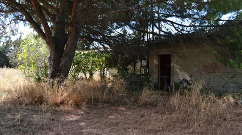 Photo 5 of Industrial buildings for sale in  Carr. del Pago del Humo, 68, Pelagatos - Pago del Humo, Cádiz