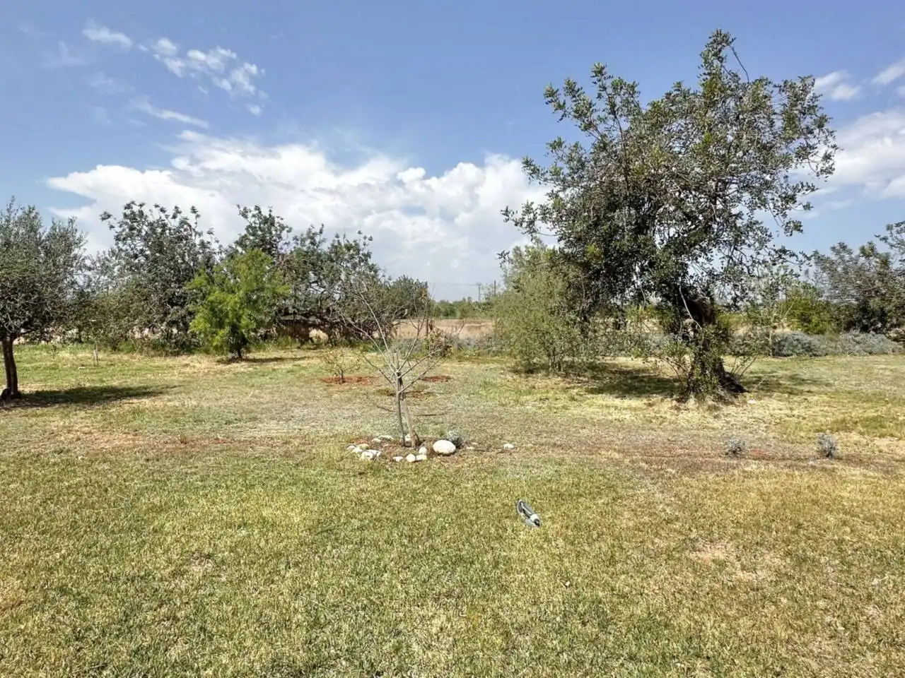 Finca rústica en venta en Vinaròs con Jardín privado y Terraza
