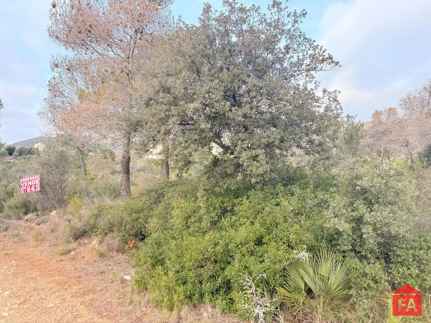 Terreny rústic en venda a Monturiol, imagen 4