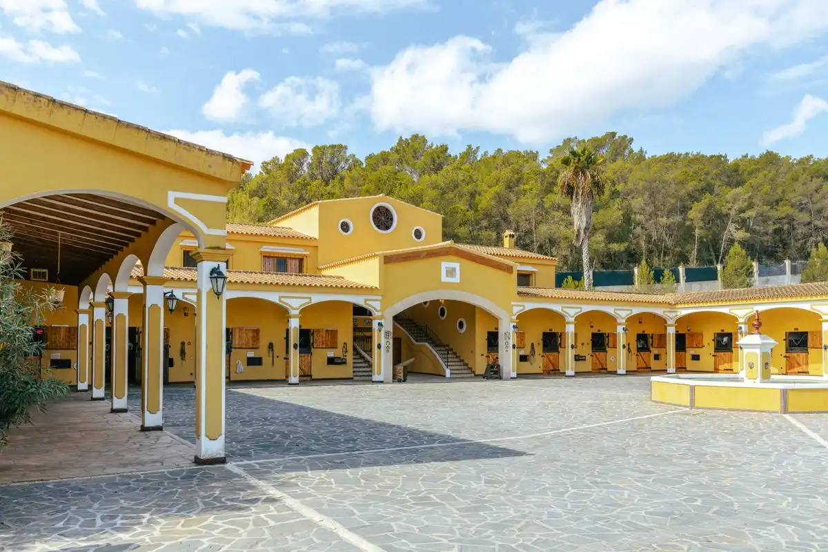 Casa con terraza en venta en Carrer d'en Toni des Pou, imagen 4