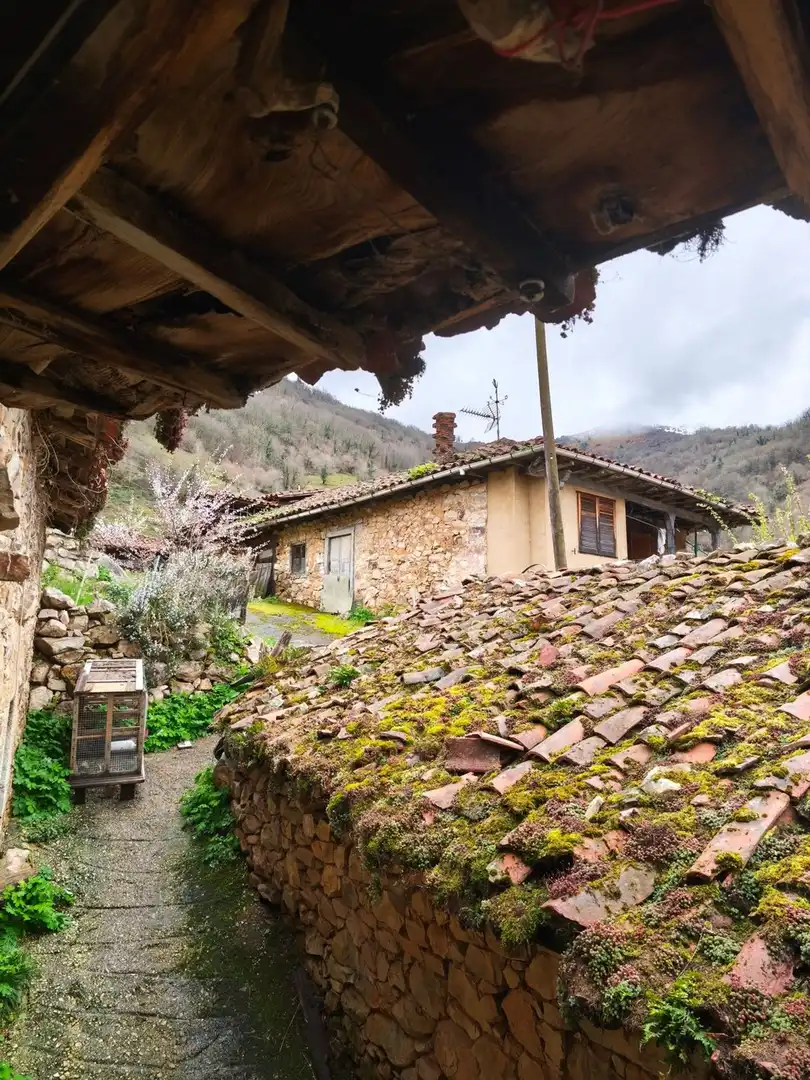 Vista exterior de Casa o chalet en venta en Proaza con Piscina