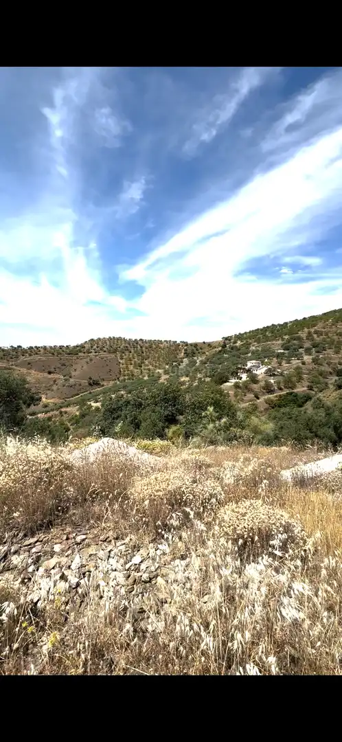 Land for sale in Sedella