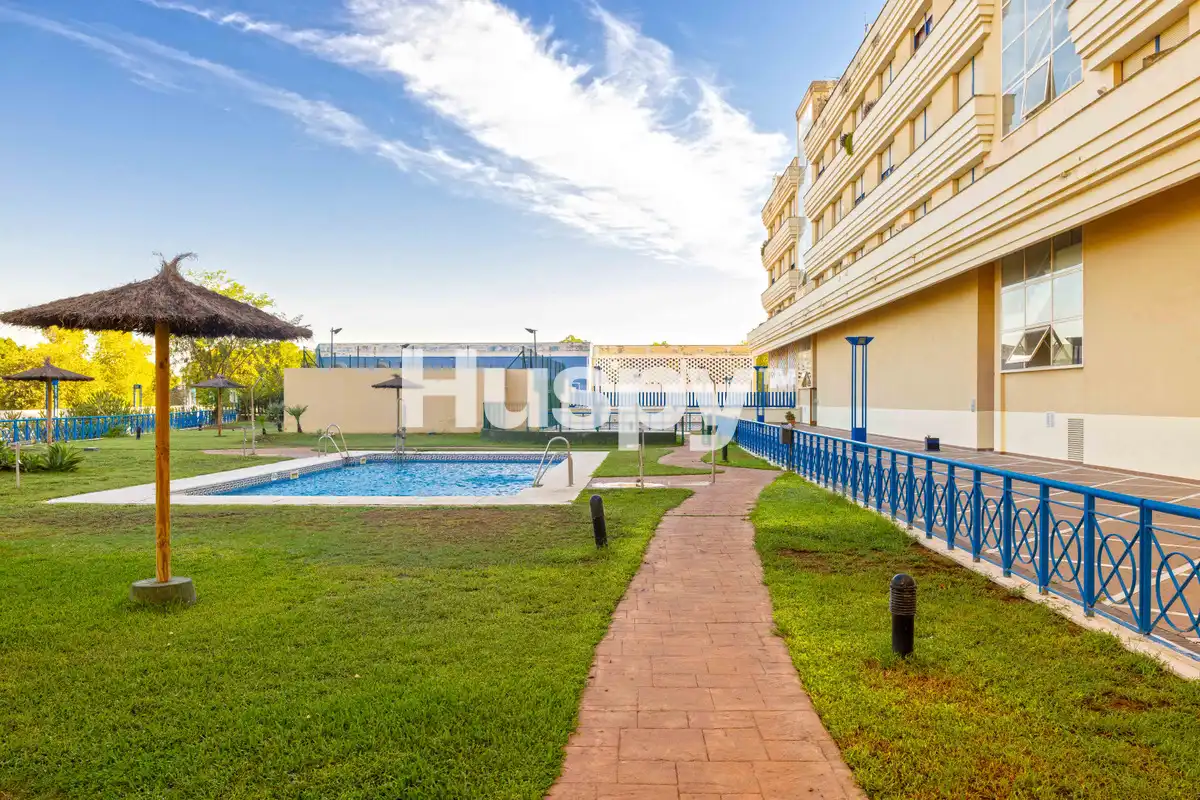 Pis amb piscina en venda a Calle Casuarina, imagen 26