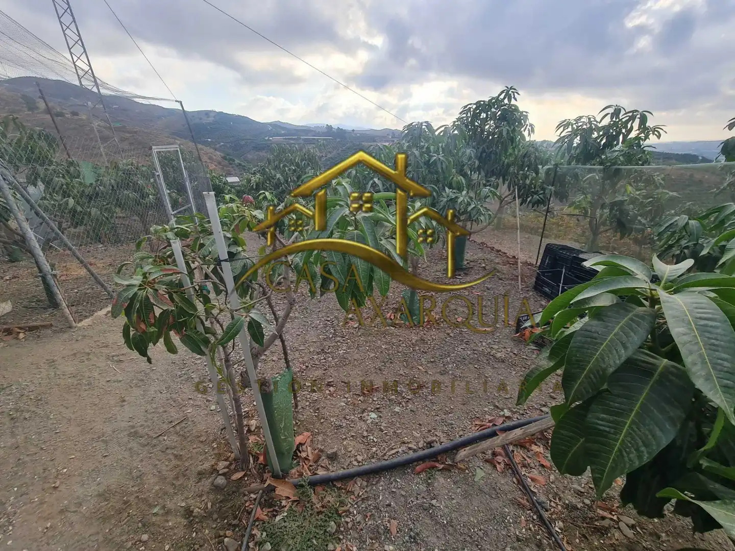 Finca rústica en venda en Vélez-Málaga amb Jardí privat, Terrassa i Piscina