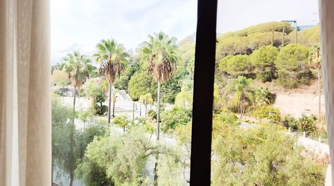 ZONA PIRULI, imatge 3