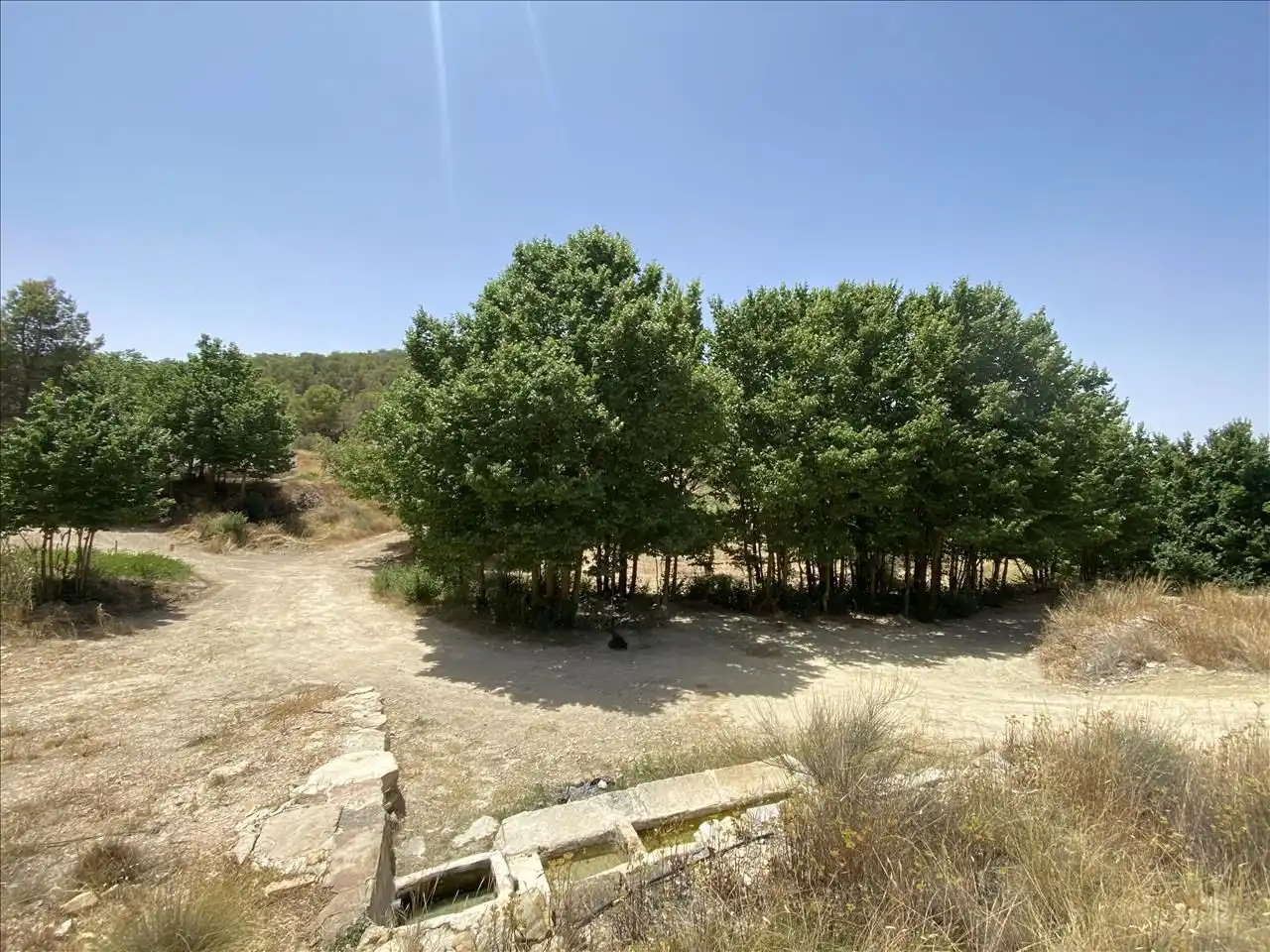 Land for sale in Jumilla