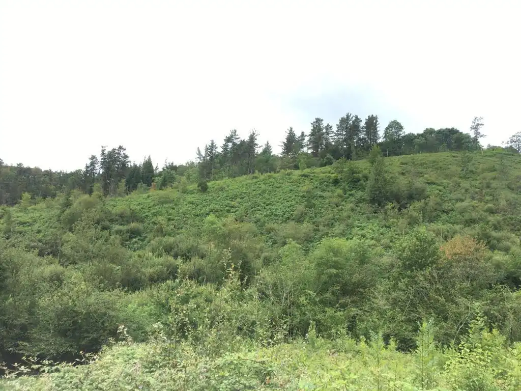 Finca rústica en venda en Mallabia