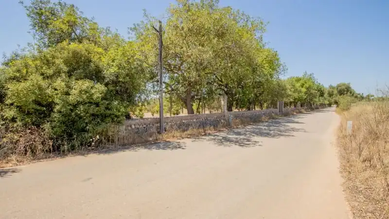 Casa o chalet en venta en Carrer Jaume I, Santa María del Camí