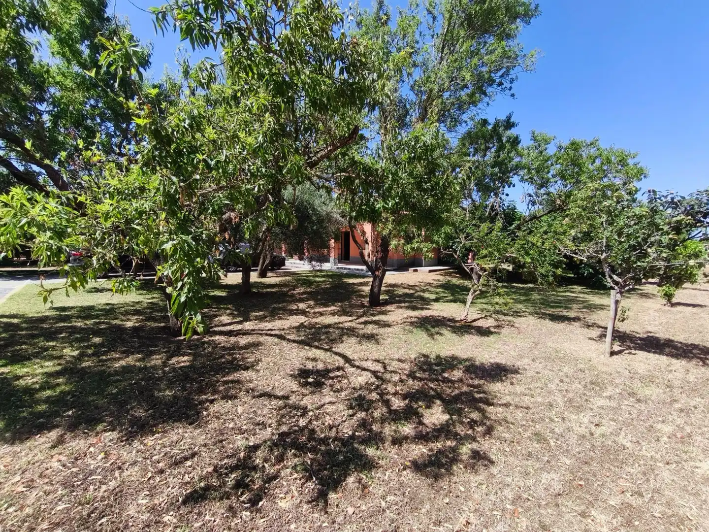 Chalet con piscina en venta en Los Franceses – La Vega, imagen 54