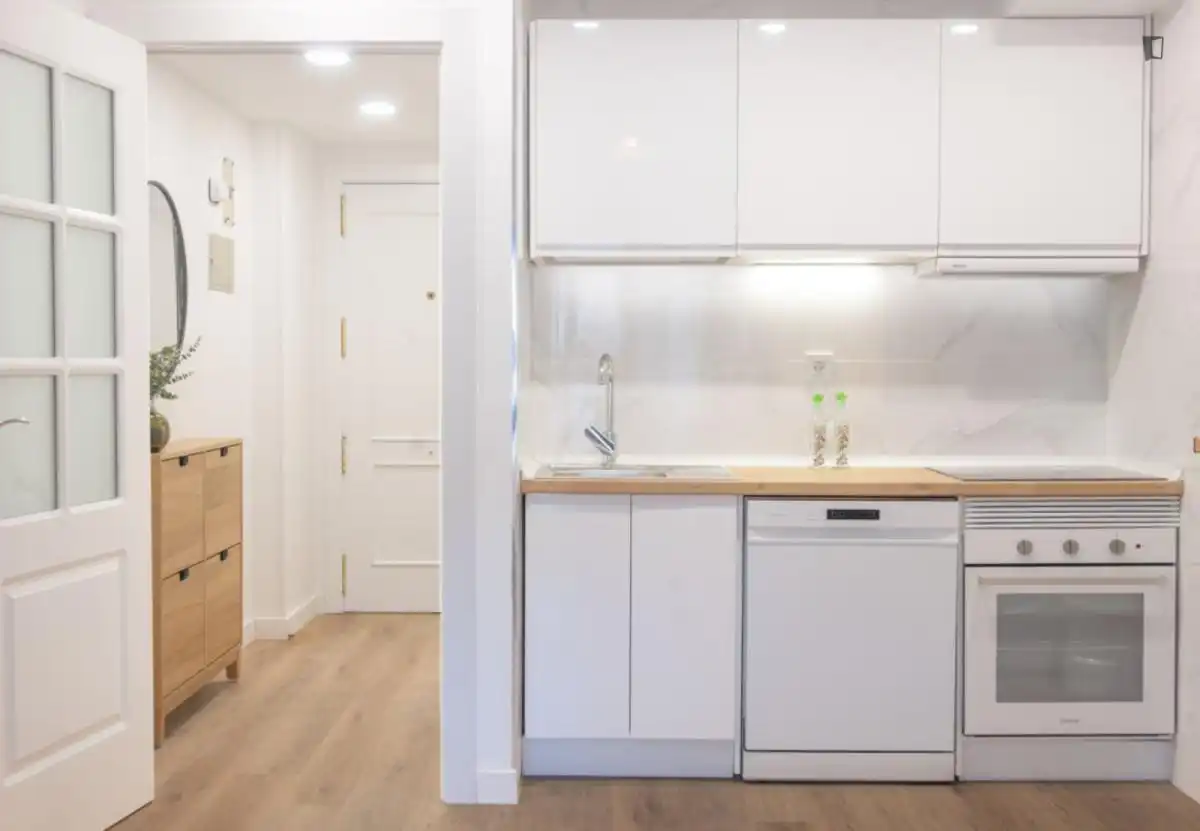 Kitchen of Apartments for rent in Madrid  with Air Conditioner, Furnished and Oven