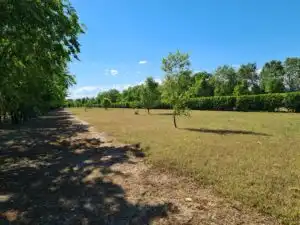 Finca rústica en venda en Fuente El Saz de Jarama amb Aire condicionat, Calefacció i Jardí privat