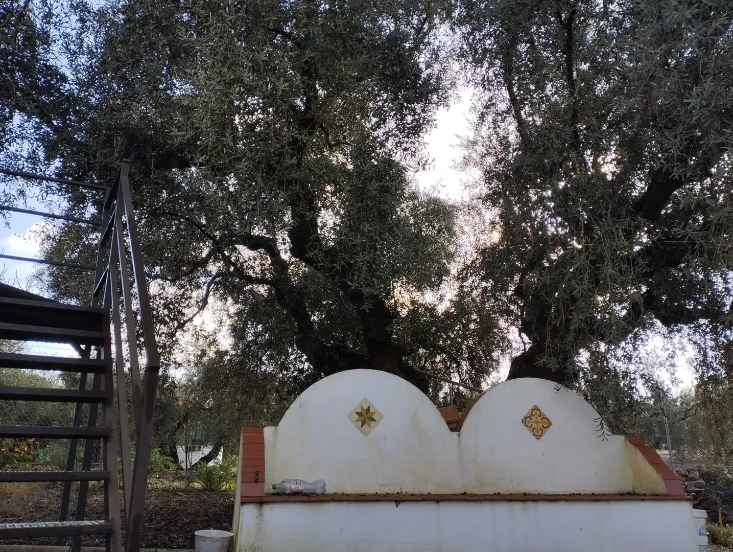 Jardín de Finca rústica en venta en Cabra