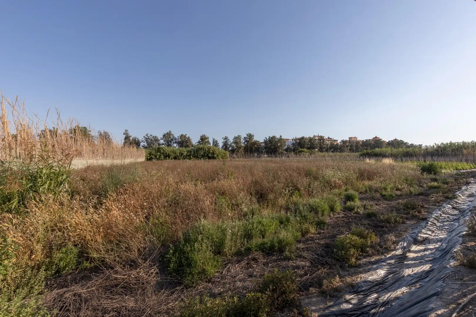 Terreny residencial en venda a Calle Sus Pla 1, imagen 17