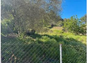 Land for sale in Piera