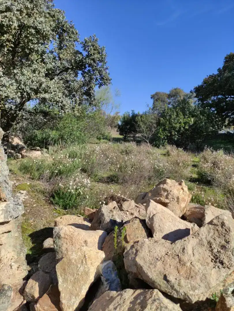 Piso en venta en Aldeanueva de San Bartolomé