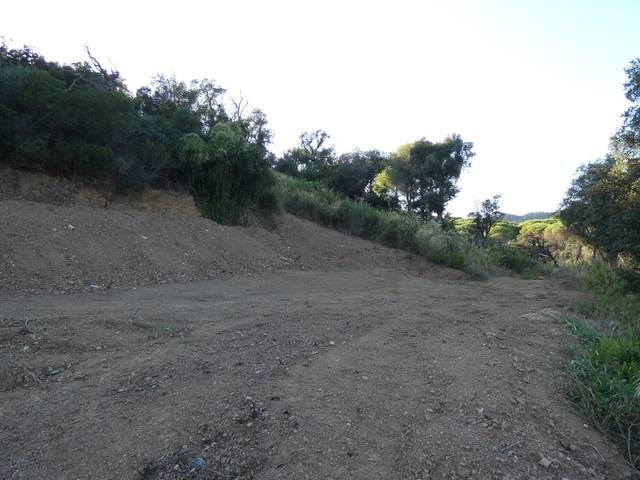 Terreno residencial en Venta en Mas Pere - Río de Oro