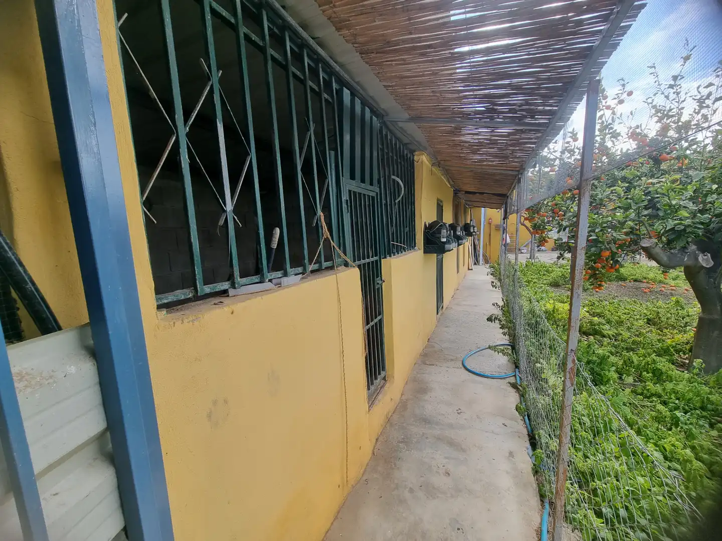 Vista exterior de Finca rústica en venta en Pechina con Aire acondicionado, Calefacción y Jardín privado
