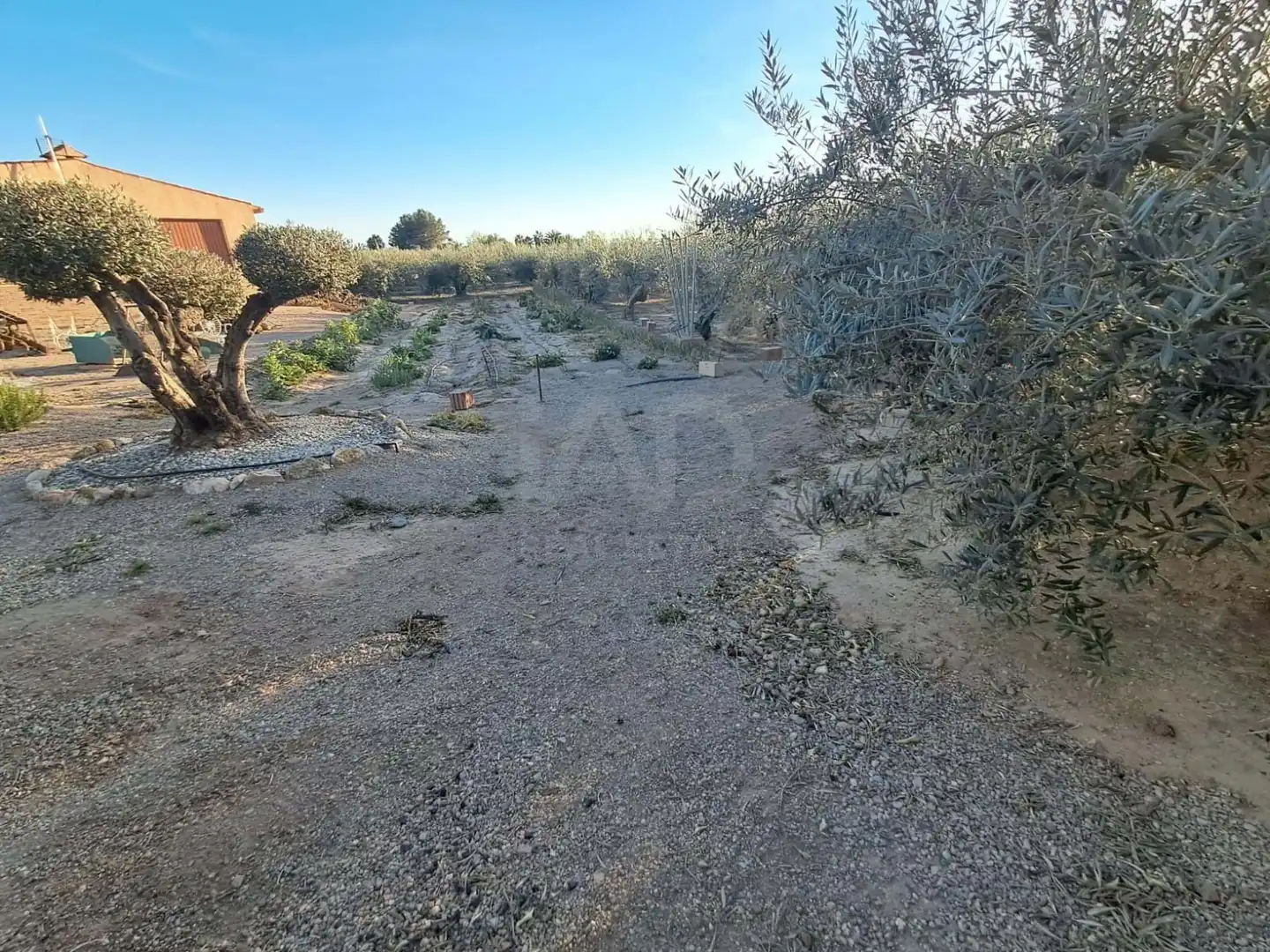 Casa o chalet en venta en Lorca con Terraza
