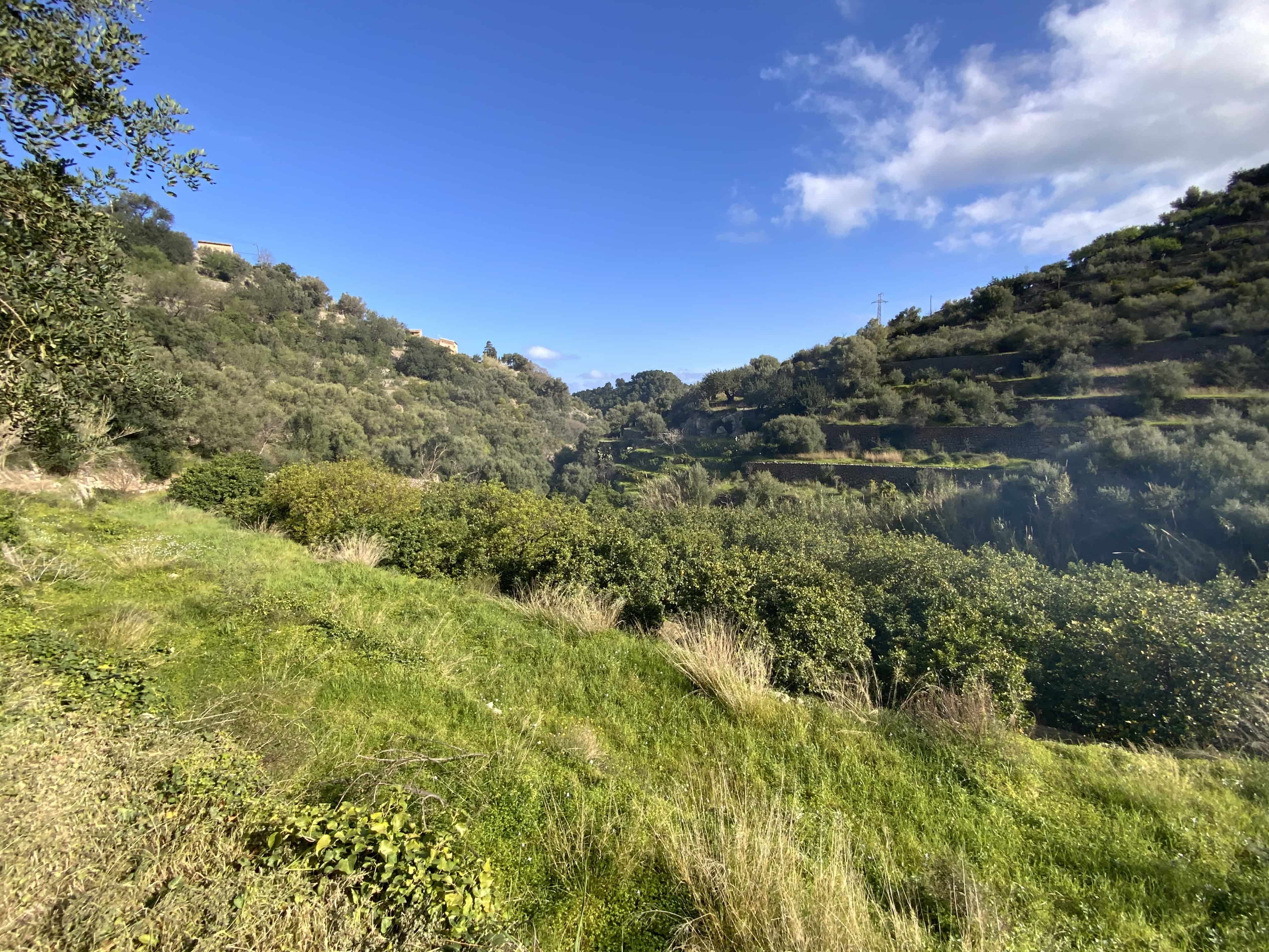 Land for sale in Deià