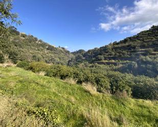 Land for sale in Deià