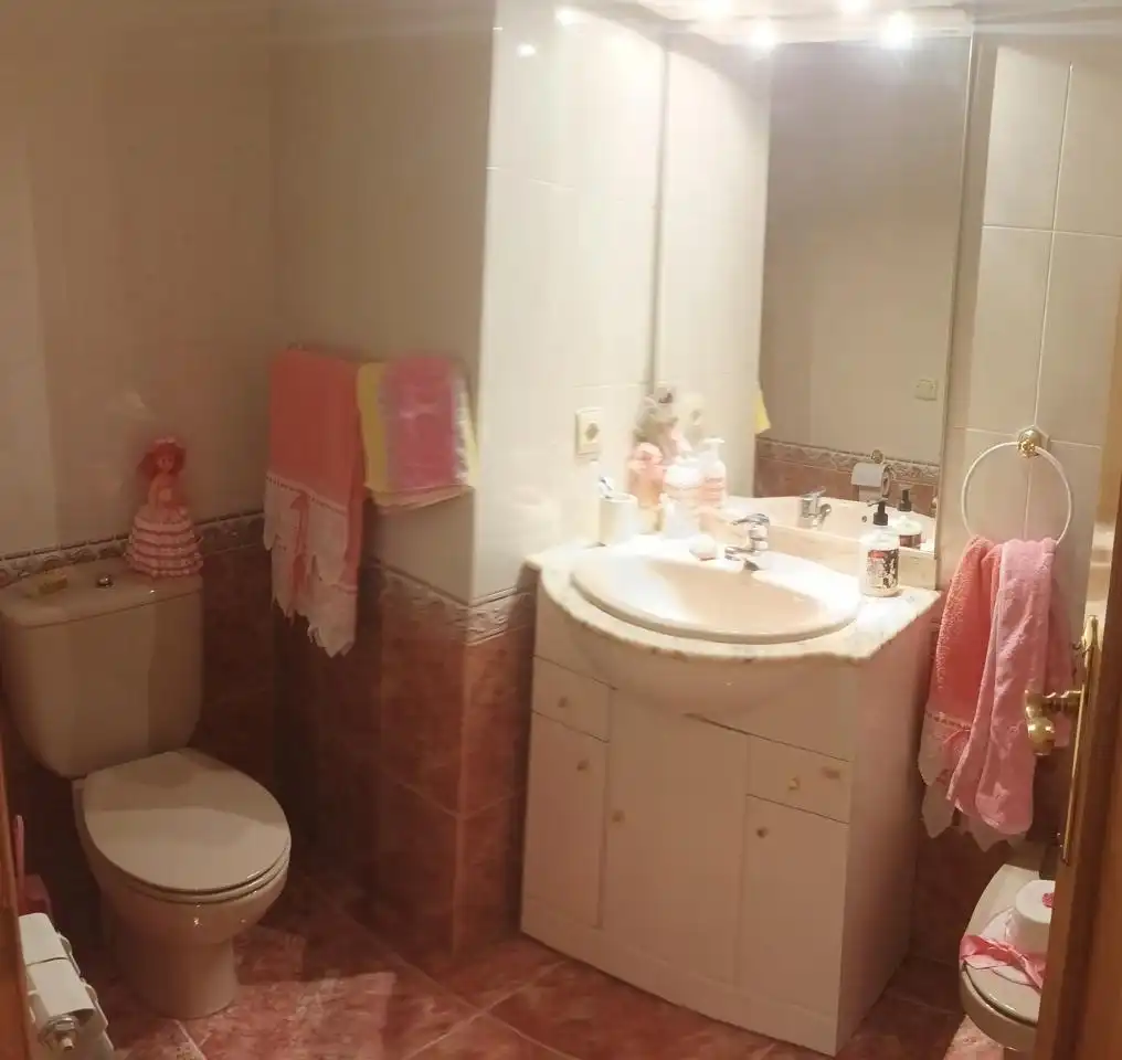 Flat with lift to rent in Calle Glen Ellyn, imagen 19