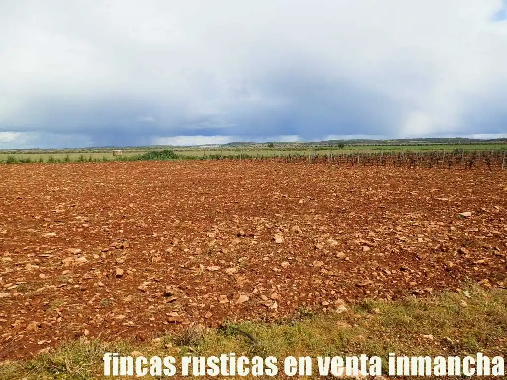 Terreno rustico in vendita a Pozuelo de Calatrava, imagen 7