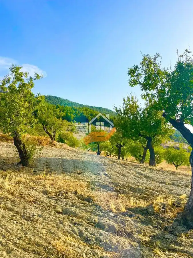 Residential land for sale in Vélez-Rubio, imagen 4