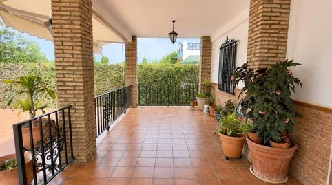 Foto 4 de Finca rústica en venta en Diseminados, Mairena del Alcor, Sevilla