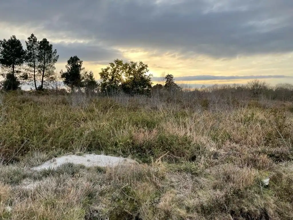 Terreni e lotti in vendita a O Pereiro de Aguiar, imagen 6