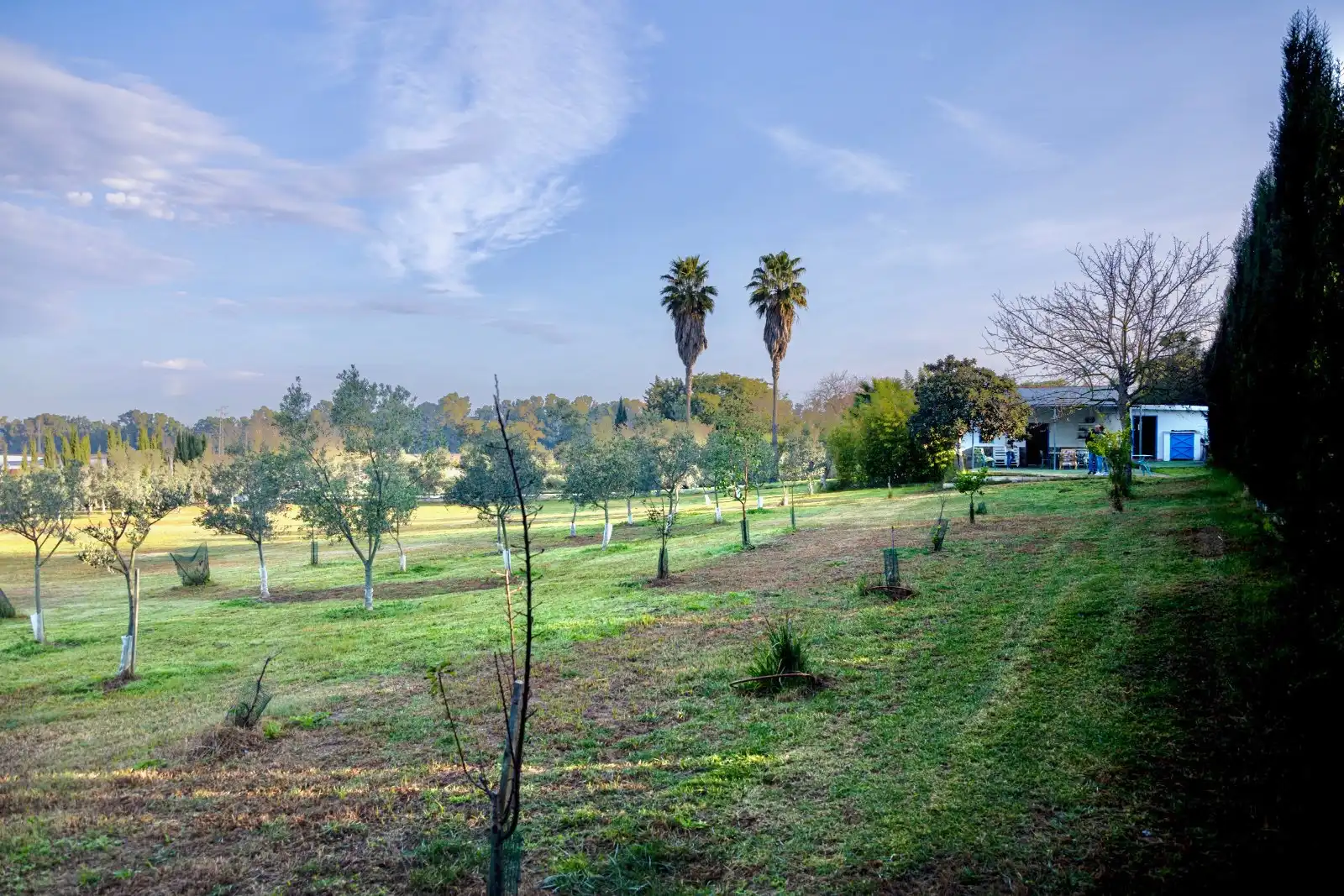 Finca rústica en venta en Jerez de la Frontera con Jardín privado