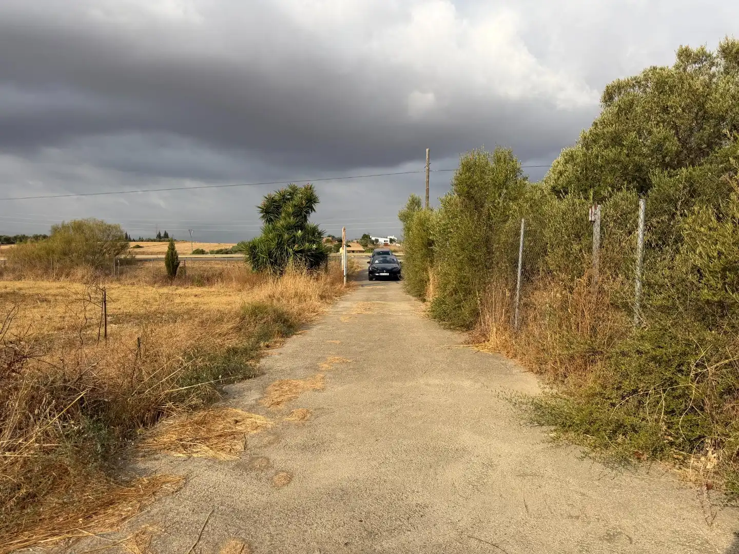 Country homes for sale in Trigueros, Huelva