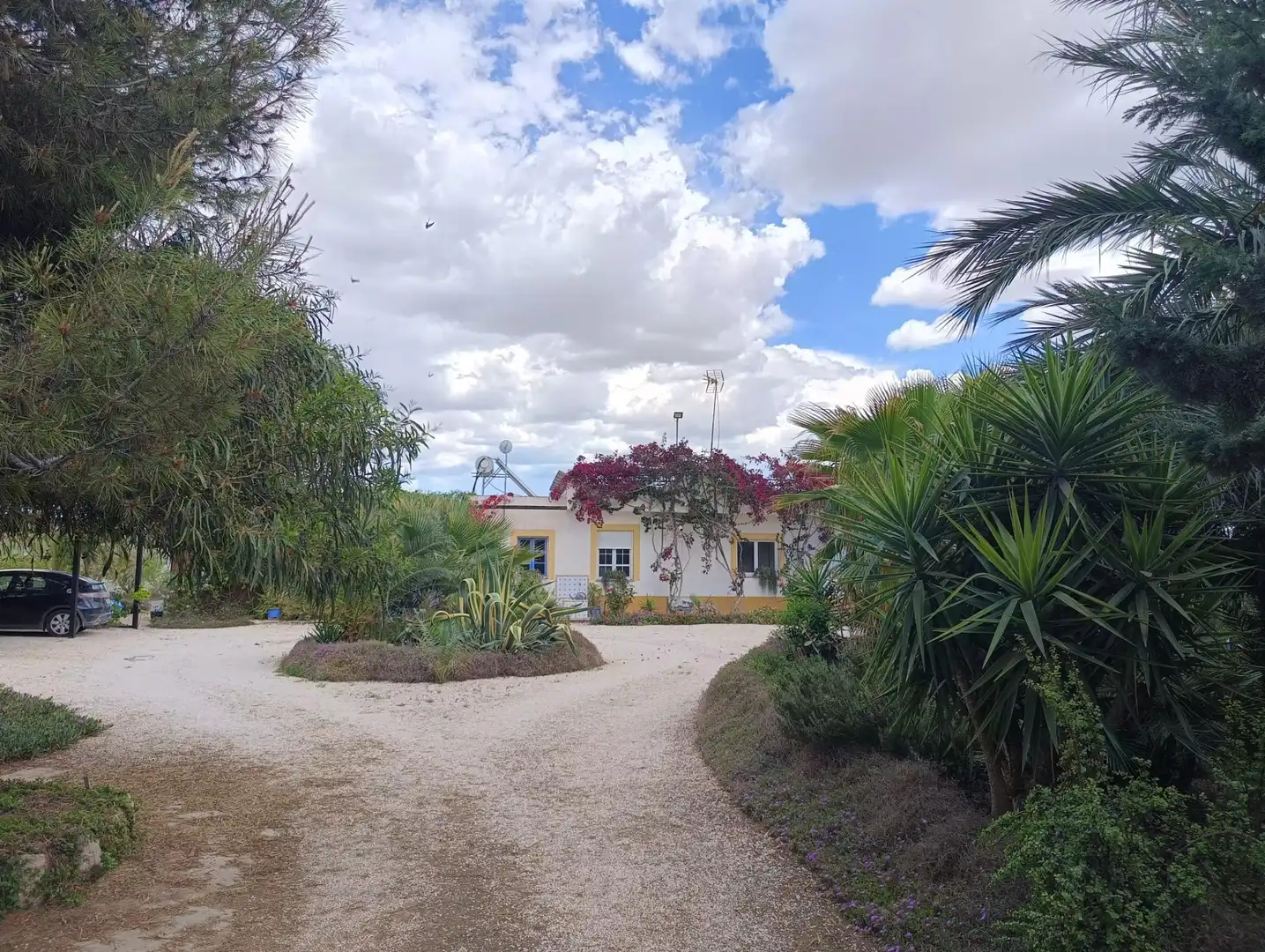 Jardí de Finca rústica en venda en Elche / Elx amb Aire condicionat, Calefacció i Jardí privat