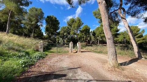 La Alberca, zona Verdolay, Cl.Pino parcela exclusiva de 14.000 m2 junto parque Regional El Valle, imatge 3