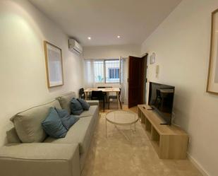 Living room of Flat to rent in  Madrid Capital  with Air Conditioner, Heating and Private garden