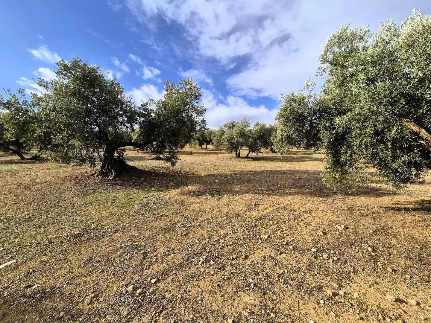 Terreno residencial en venta en Salar, imagen 10