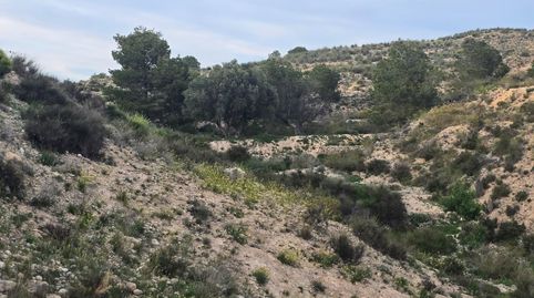 Photo 2 of Land for sale in Polígono Poligono 5, Parcela 469, Cañada de la Hur, 5, Centro, Molina de Segura