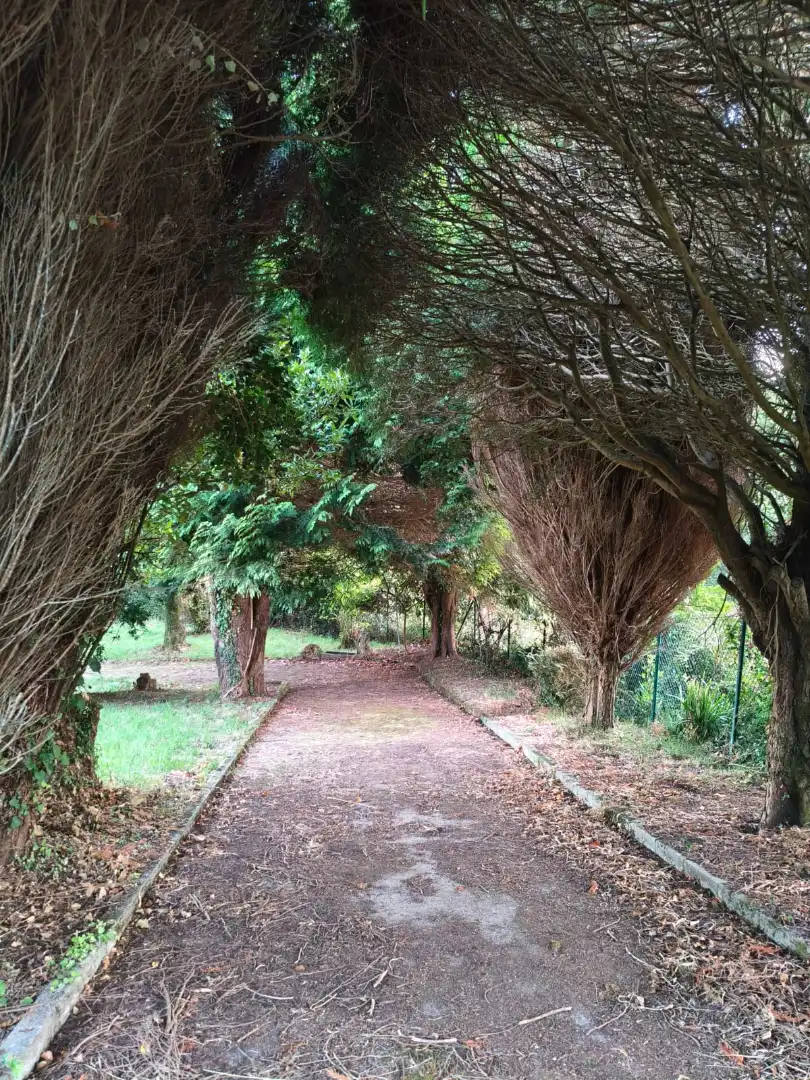 Jardí de Finca rústica en venda en Cedeira amb Jardí privat i Forn