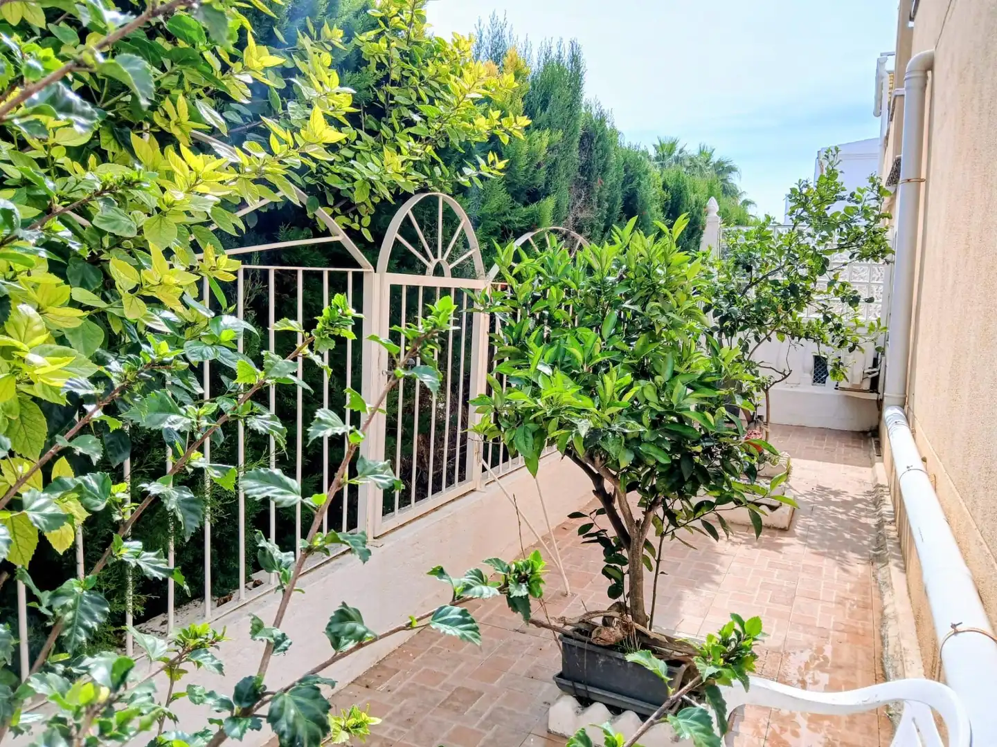 Maison mitoyenne avec piscine à vendre à El Moncayo - El Pòrtic, imagen 24