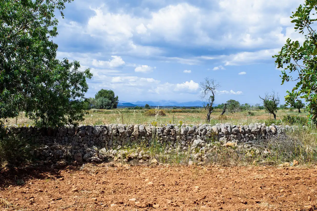 Terrenys i solars en venda a Felanitx Poble, imagen 3