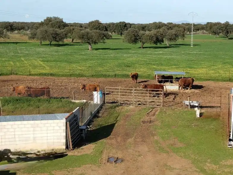 Vista exterior de Terreno en venta en Torre de Miguel Sesmero