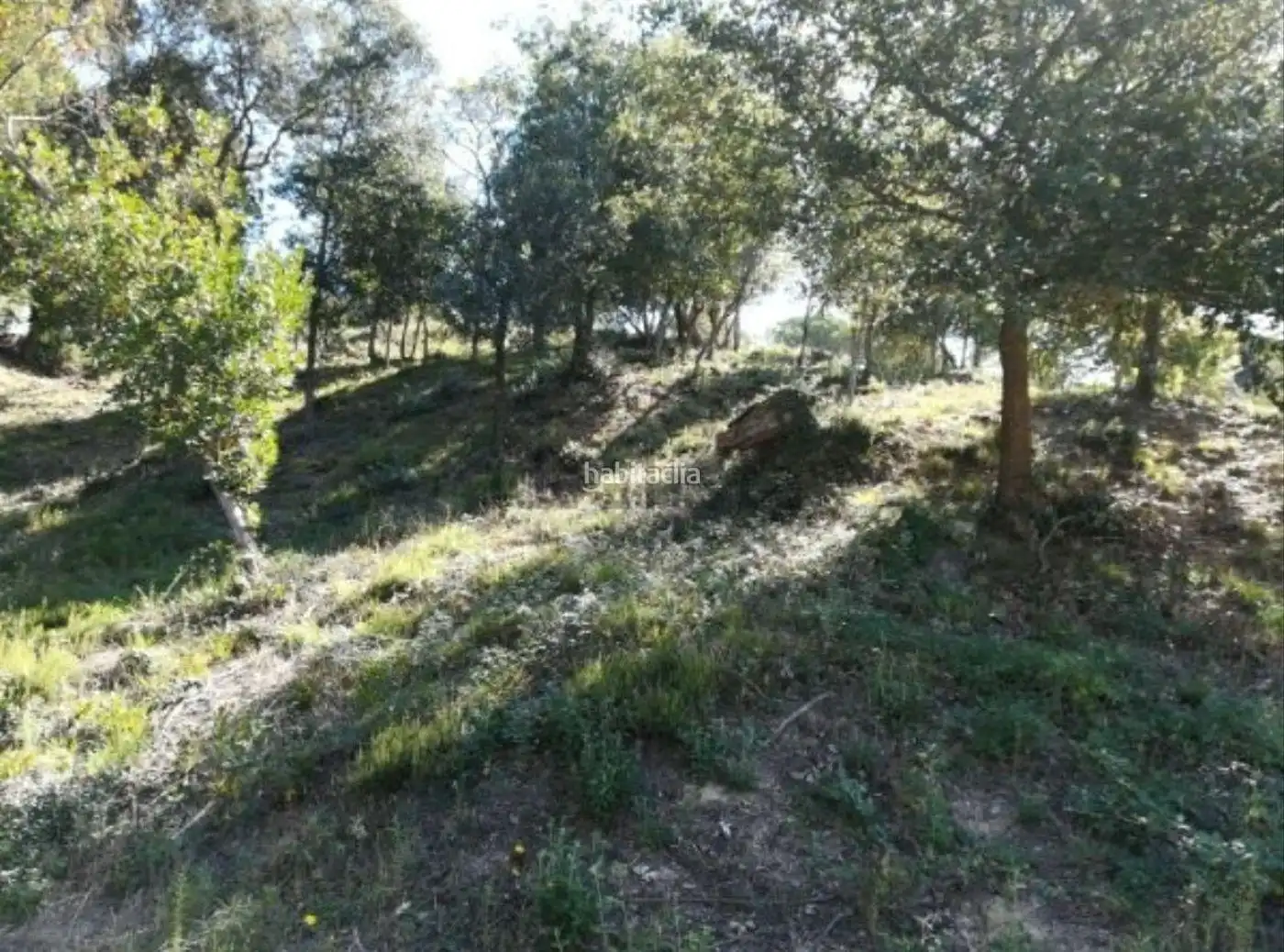 Grundstücke und Bauplätze zum Verkauf in Carrer Mimoses 541, imagen 4