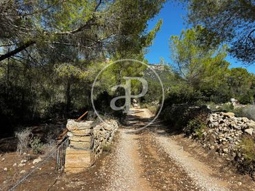 Terreny residencial en venda a Llucmajor pueblo